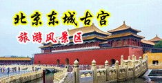 被黑人大鸡巴狂操中国北京-东城古宫旅游风景区